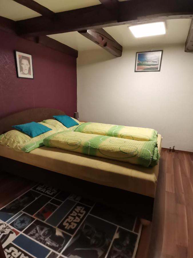 Apartman Ve Mlejne Nova Bystrice Exterior photo