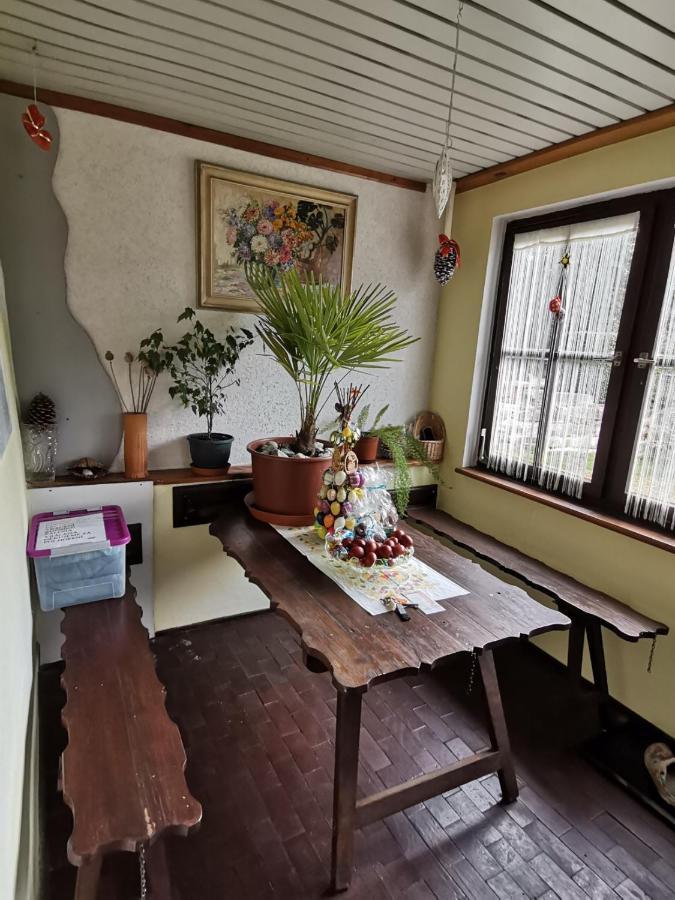 Apartman Ve Mlejne Nova Bystrice Exterior photo