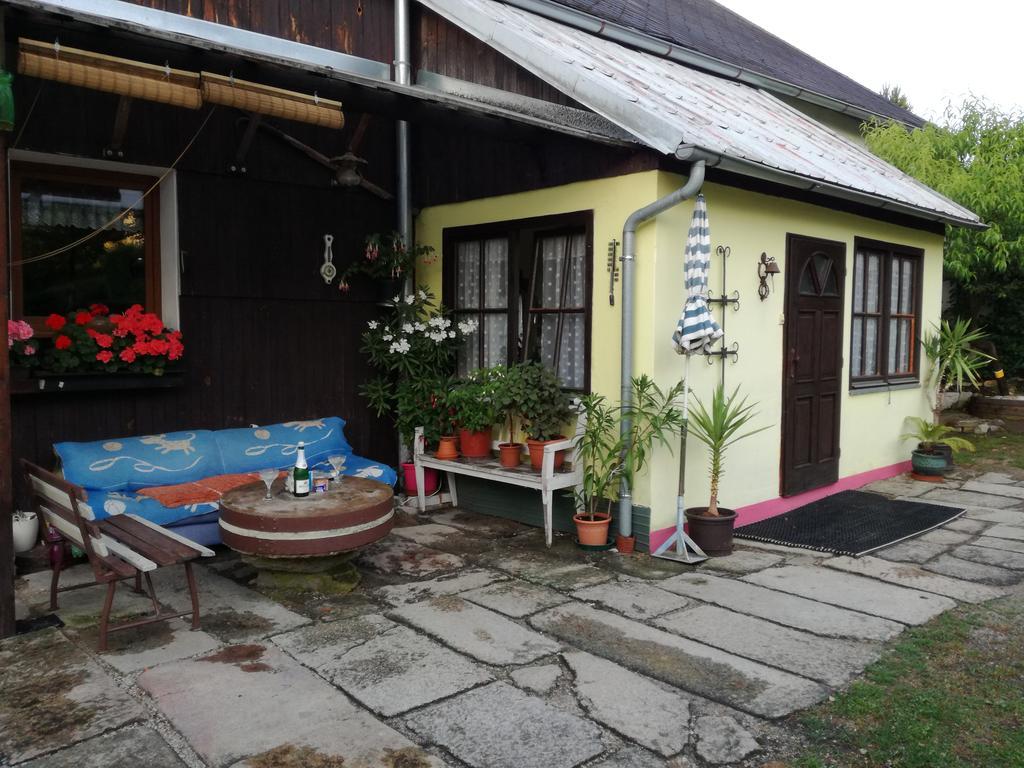 Apartman Ve Mlejne Nova Bystrice Exterior photo